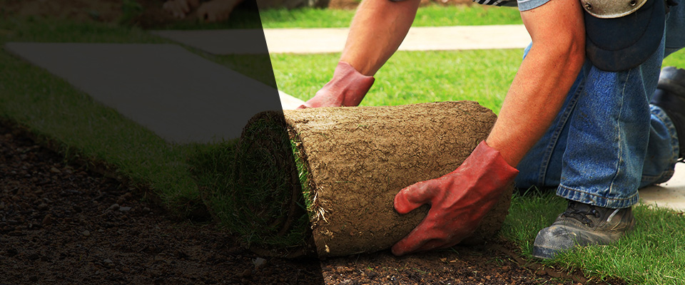 Eufaula Landscapers